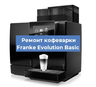 Чистка кофемашины Franke Evolution Basic от накипи в Ростове-на-Дону